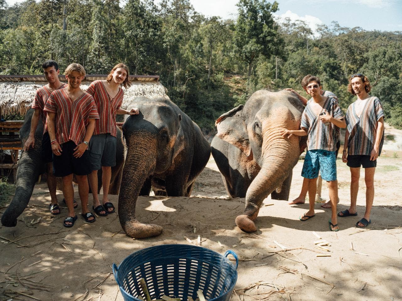 Elephant Sanctuary — photo 7
