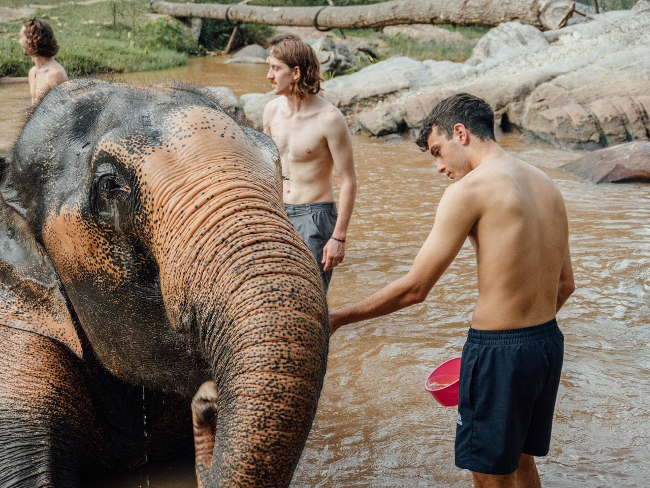 Elephant Sanctuary — photo 8