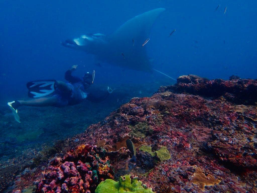 Snorkeling — photo 6
