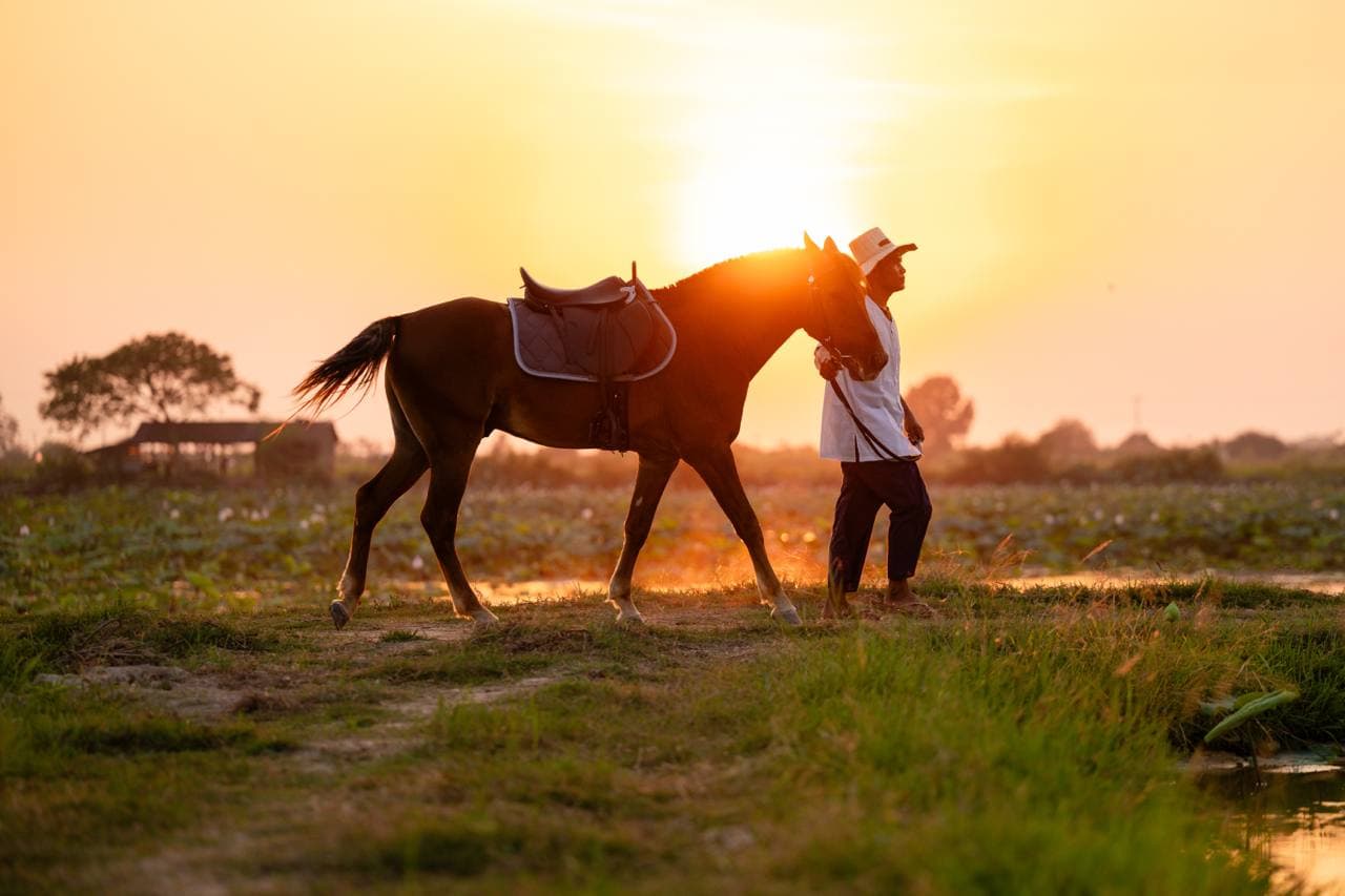 Horseback Adventure Tour — photo 6