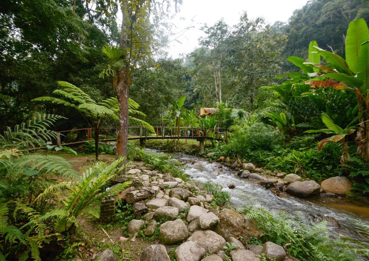 Doi Suthep & Waterfall Tour — photo 5