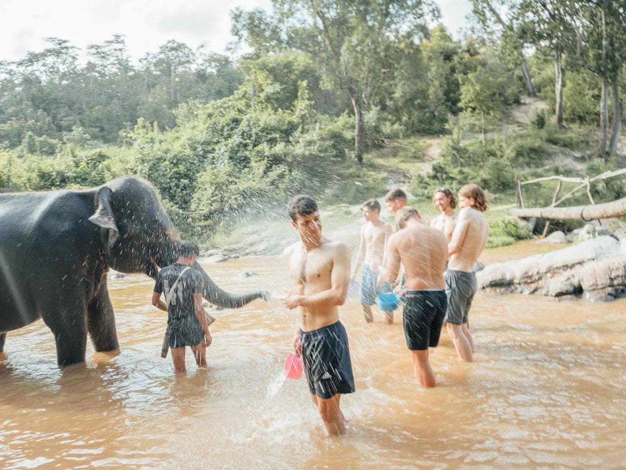 Elephant Sanctuary — photo 3