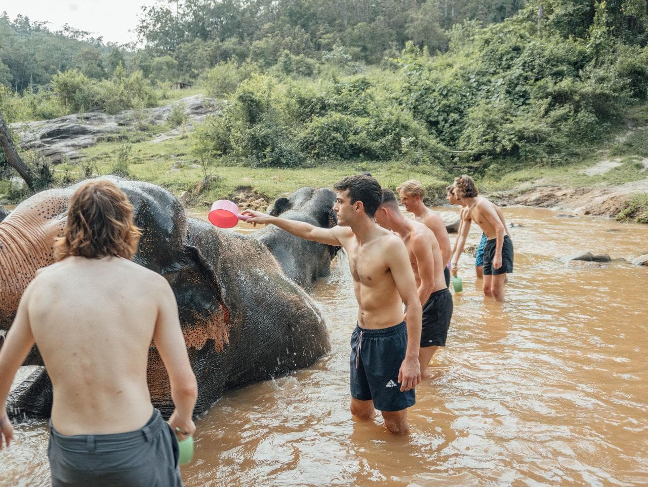 Elephant Sanctuary — photo 5