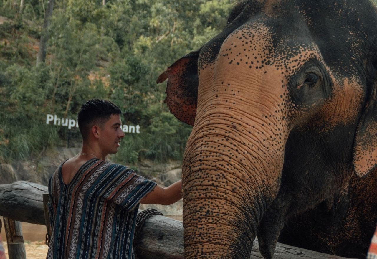 Elephant Sanctuary — photo 6