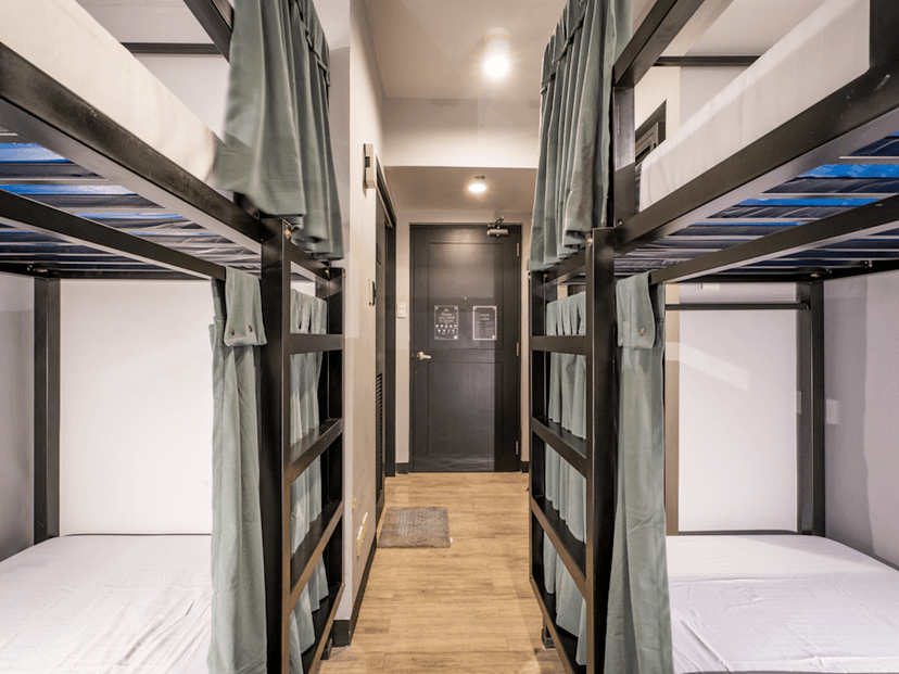 Dpl Monkey DORM