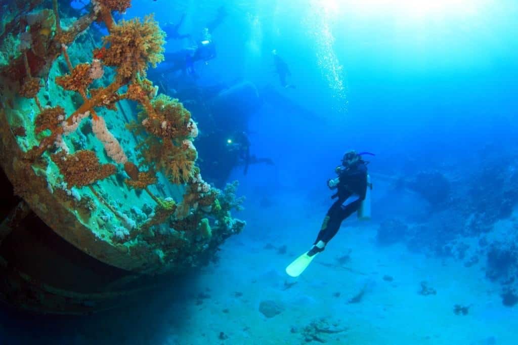 Dive Site #10: Wreck Dives off Coron, Palawan - Scuba Diving in The Philippines: Top 10 Dive Sites
