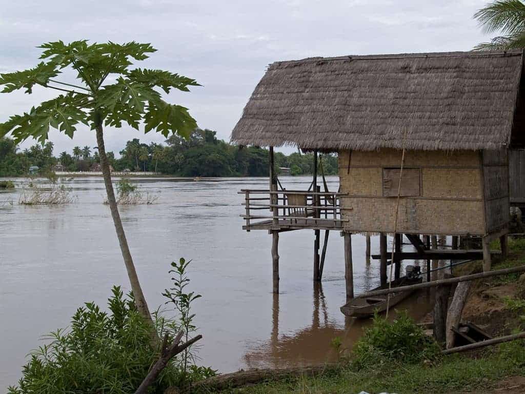 4000 Islands, Laos: The Chilled Life Aquatic