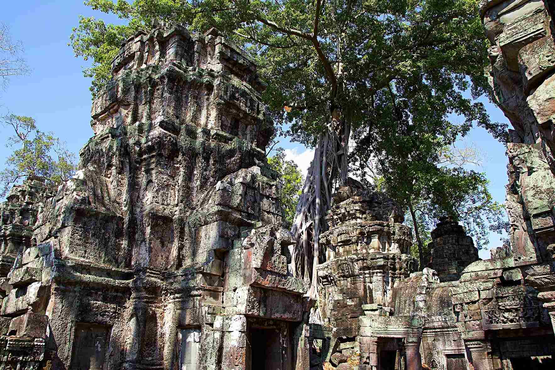 Mad Monkey Hostels Tomb Raider Temple A Walk With Angelina Jolie
