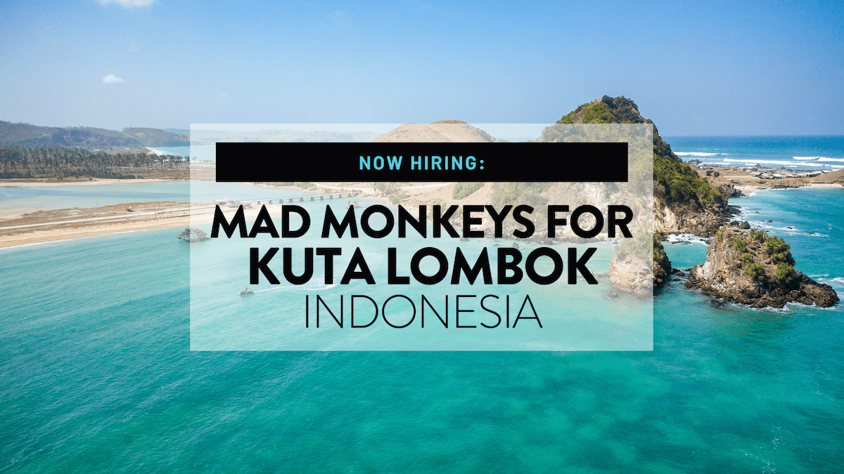 Mad Monkey Hostels Now Recruiting Mad Monkeys for Kuta Lombok in Indonesia