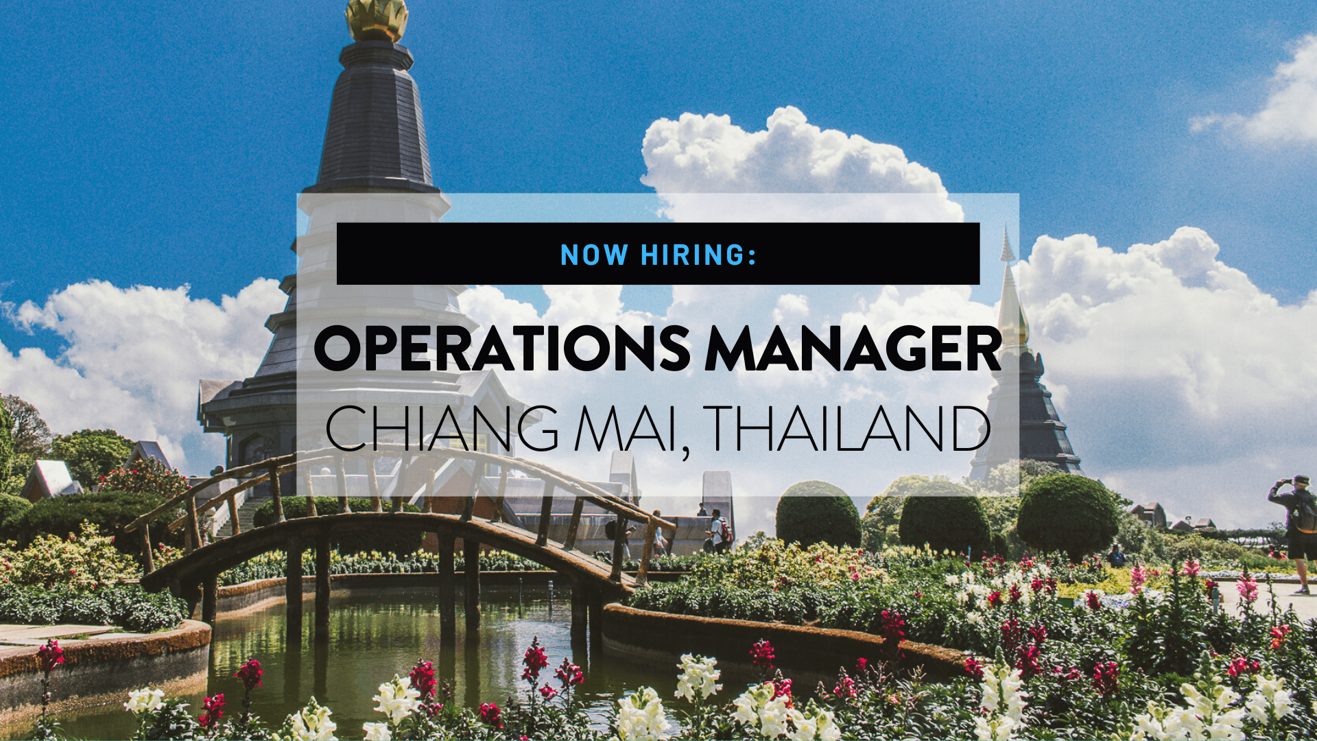 Mad Monkey Hostels Now Hiring Operations Manager for Mad Monkey Chiang Mai Thailand