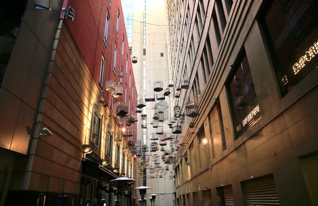 Birdscage Lane - Offbeat Sydney