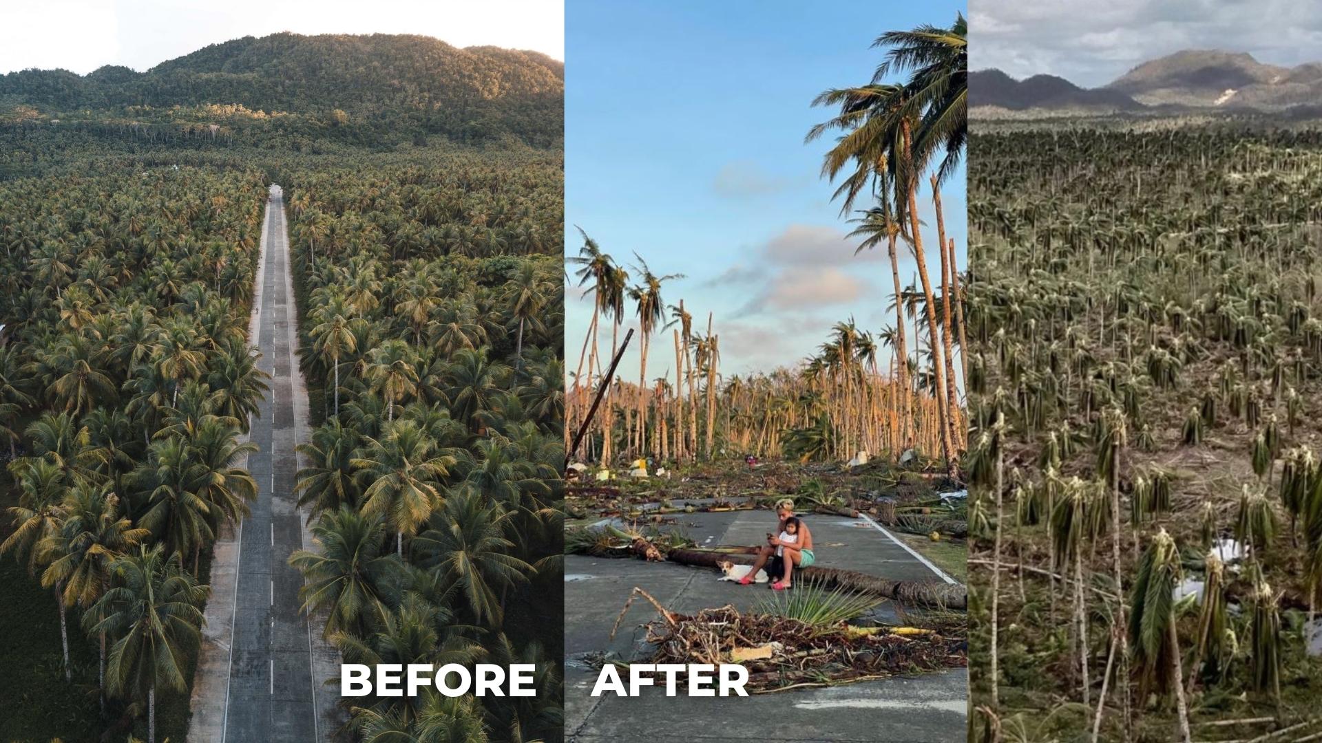 Typhoon Odette Philippines Disaster Relief