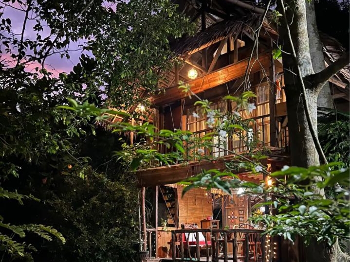 treehouse accommodation in dumaguete